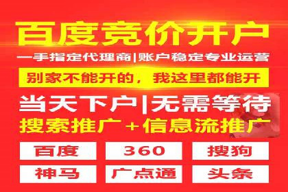 SEO与SEM融合策略：成功案例解析